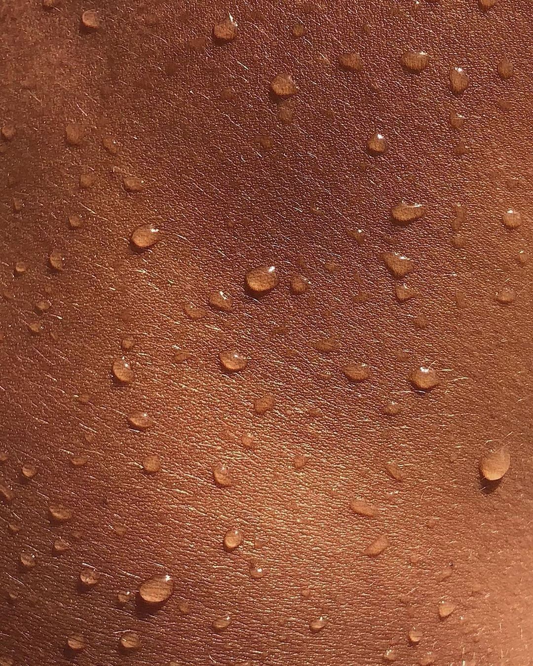 The Hallmarks of Ageing: What Is Actually Happening Inside You