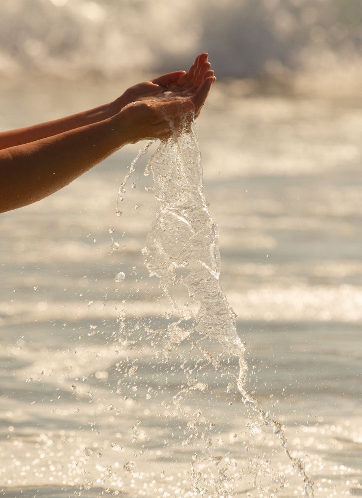 Why Inflammation Is a Signal, Not the Enemy